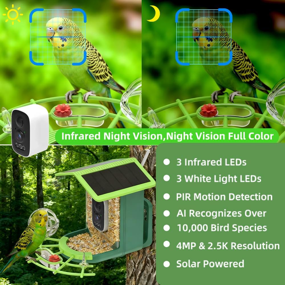 Real Time Bird watching WIFI A - A1 Watches & Jewelry New York Photos 评论和价格